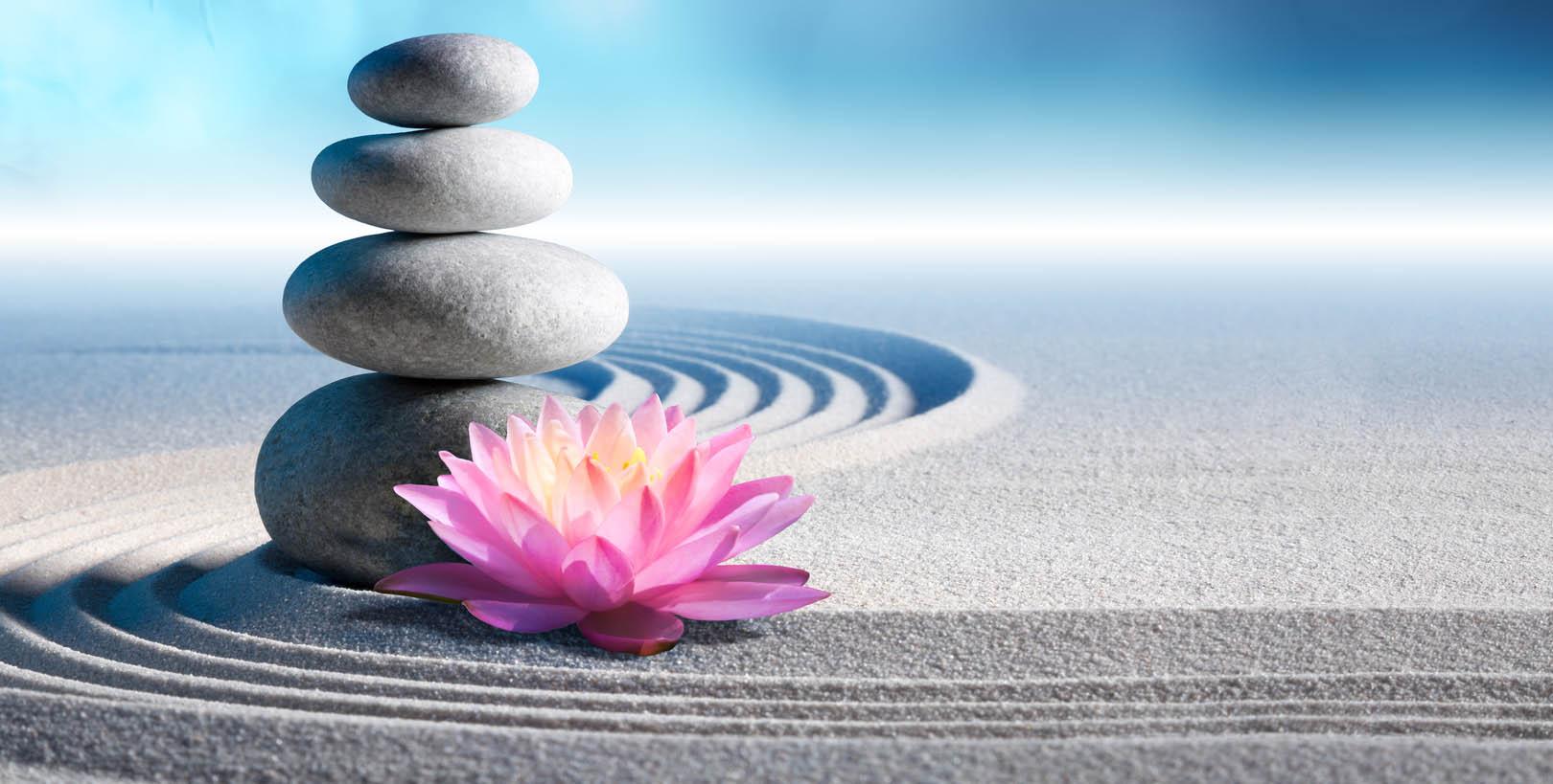 Banner image of meditation rocks.